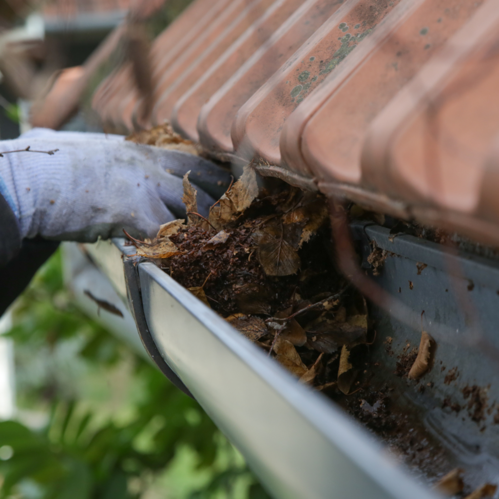 Curage des feuilles dans une gouttière encombrée